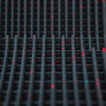 MoRo и компания - Прости Мурку (Мурзилки cover) v.4 (Edit)