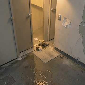 Прости меня, мама