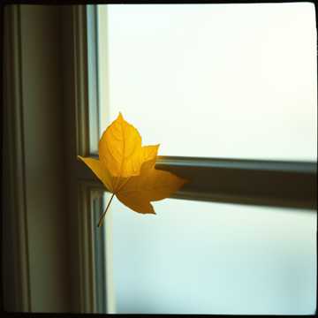 Оставь мне шанс!