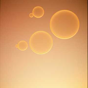 мистер БАБЭЛМЕН