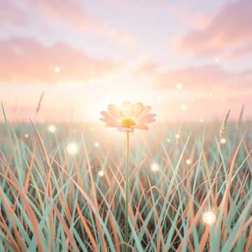 Зумба среди облаков