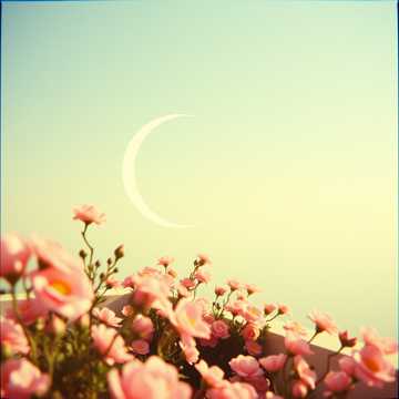 Растущая луна 🌖2