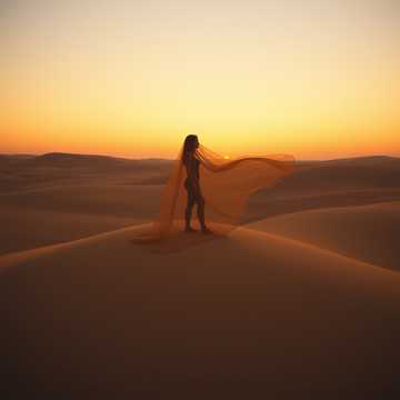 Лейла во снах