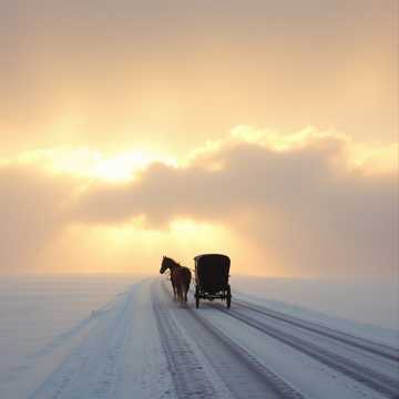 Тройка вороная