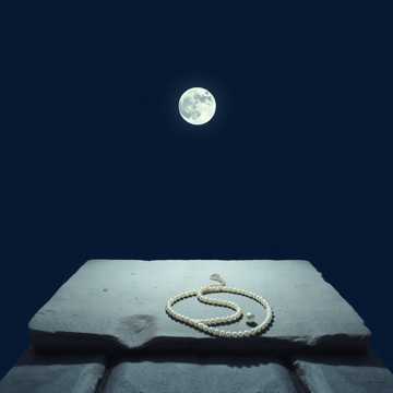 Последняя Лунная принцесса