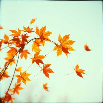 "Осенний стриптиз" Е. Хетчикова + ИИ