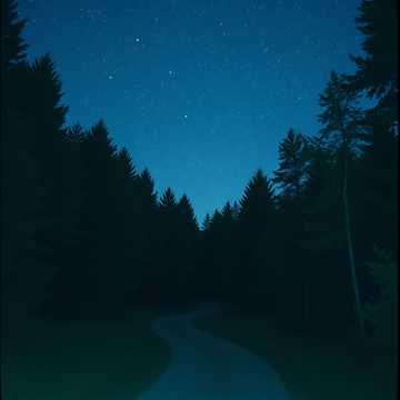 Выбирая дорогу