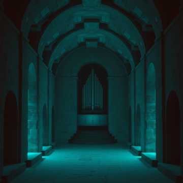 “Visiting the shaman”