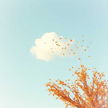 Я хочу (И. Демидова -  А. Почкин)