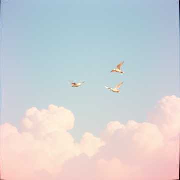 В небо синее.