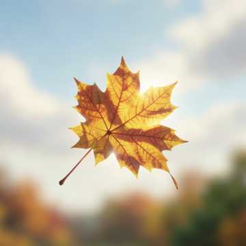 Осенний листопад